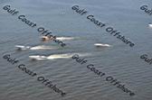 Resize of DSC_0494.JPG